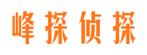 汝城市调查公司